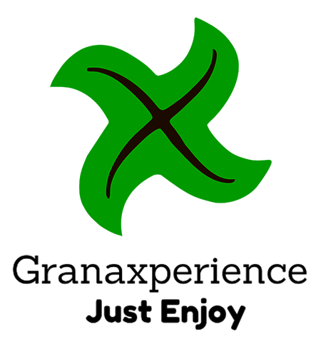 Logo Granaxperience forma Vertical Fondo claro